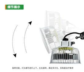 国仁TDP治疗器 台式小头电磁波理疗仪器的疗效与使用指南